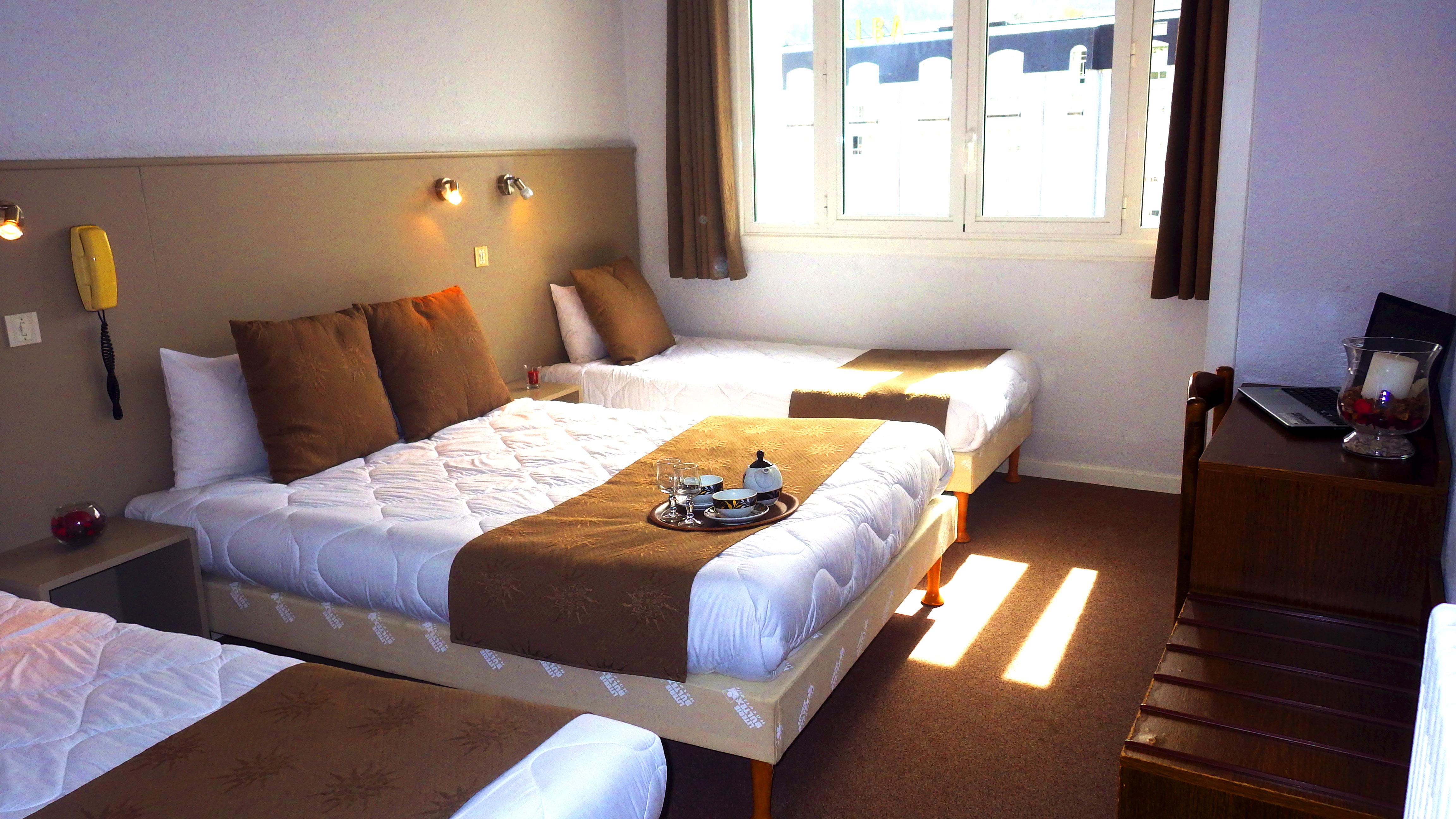 Hotel Adonis - Notre Dame De La Sarte Lourdes